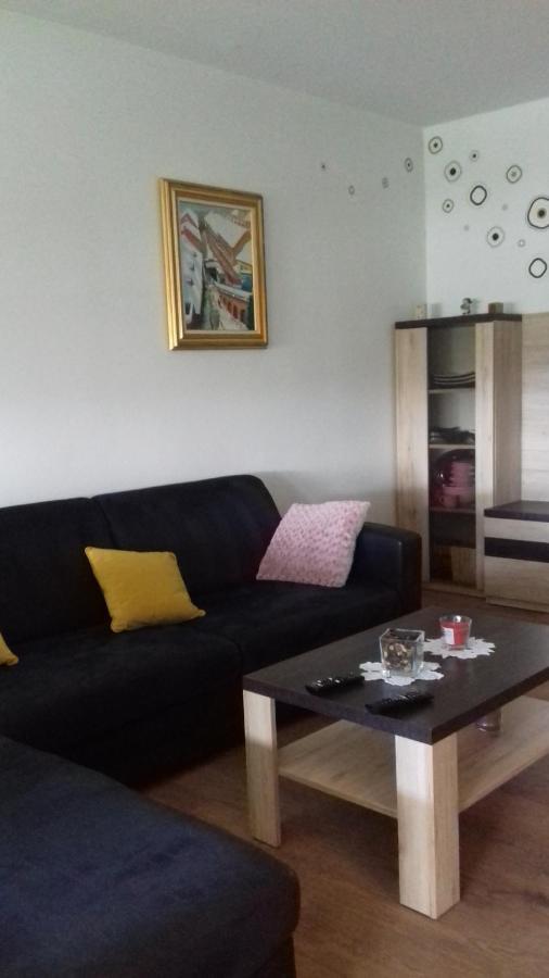 Апартаменти Apartman Lana ,Froudeova Ulica 3 Nasuprot Zg Velesajma Загреб Екстер'єр фото