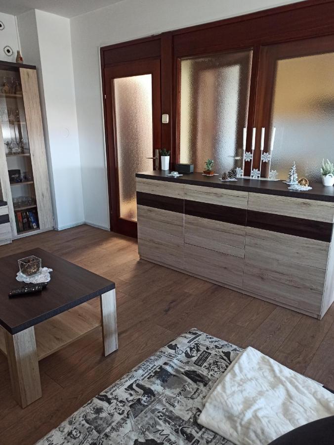 Апартаменти Apartman Lana ,Froudeova Ulica 3 Nasuprot Zg Velesajma Загреб Екстер'єр фото